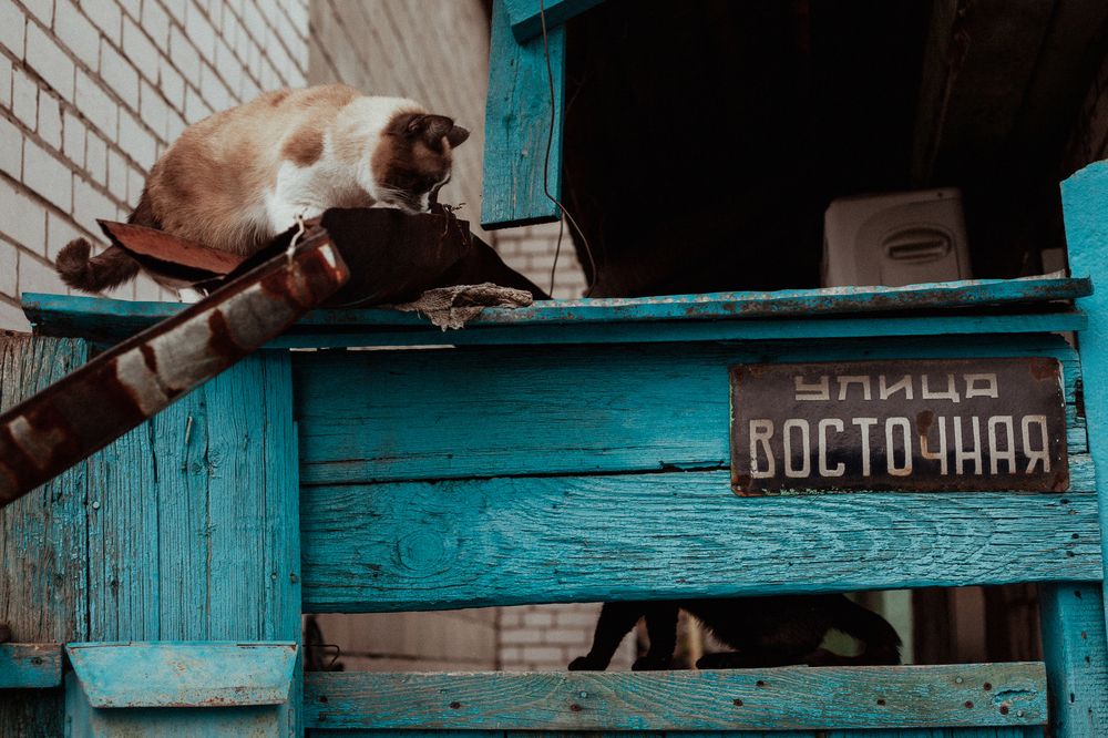 Photograph by Дарина Синица