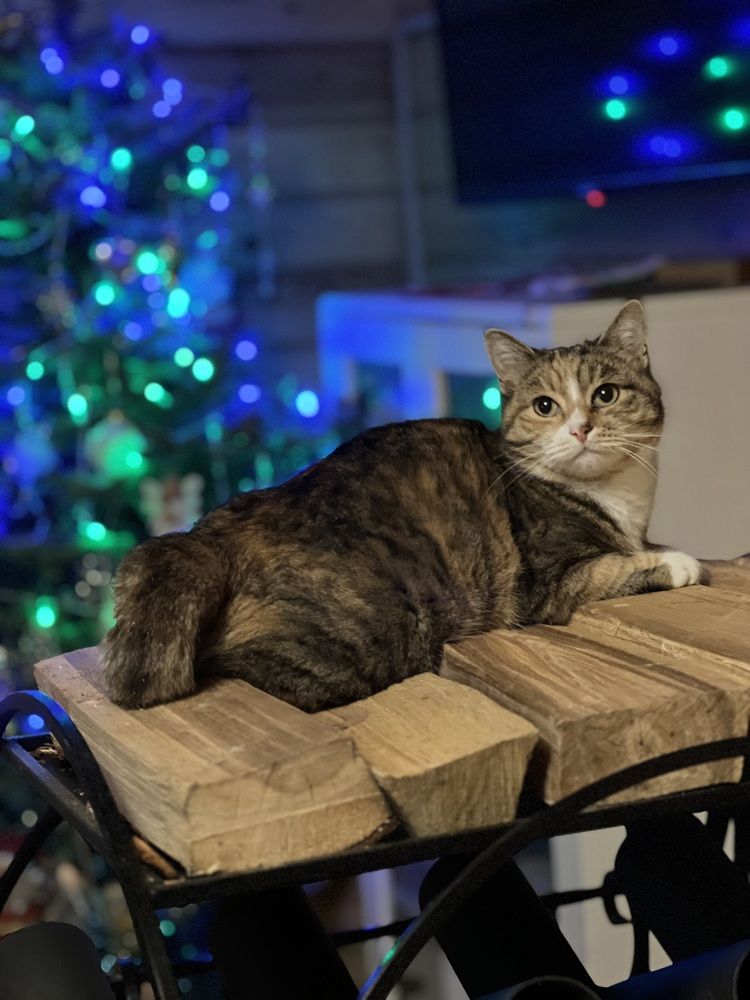 Photograph by Kira Ko