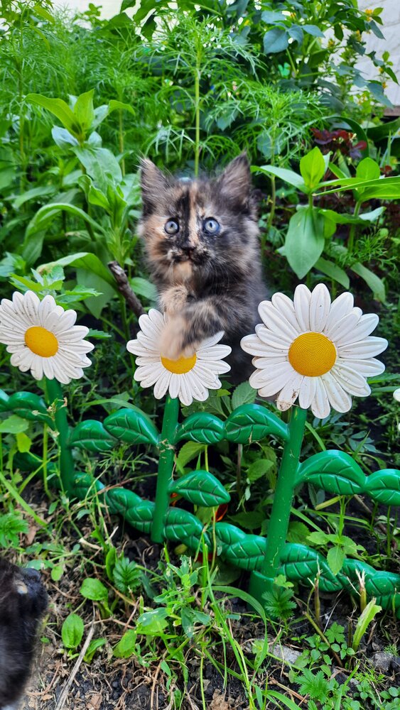 Photograph by Айгиза Мухамедьянова