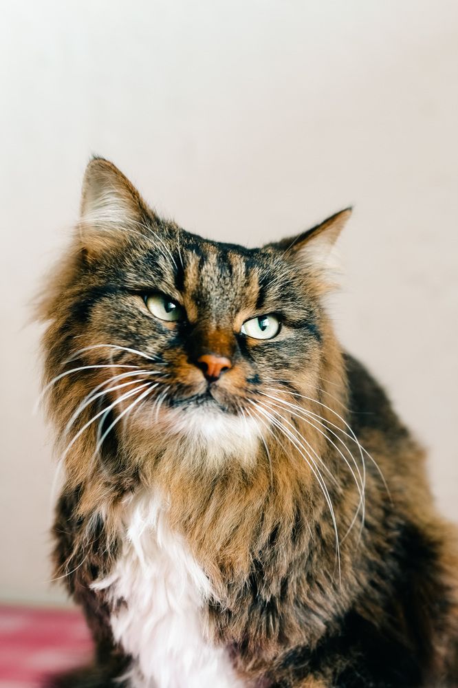 Photograph by Дарья Андреева