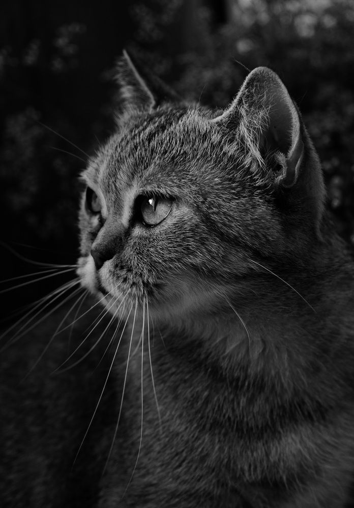 Photograph by Яна Истоцкая