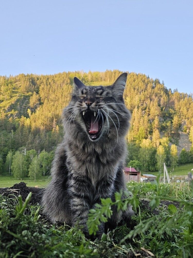 Photograph by Айгиза Мухамедьянова