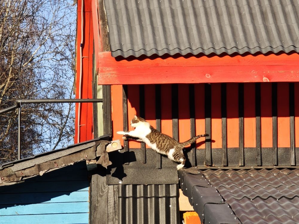 Photograph by Надежда Архипова