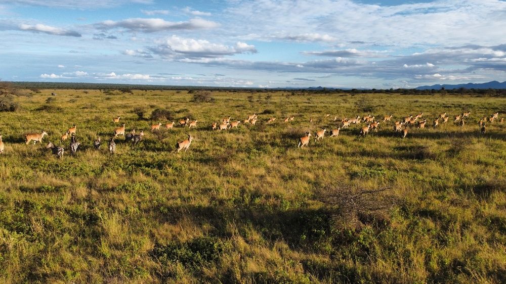 Photograph by Magoti Muyengi
