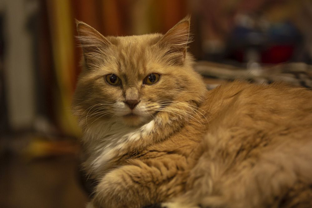 Photograph by Кузнецов Александр