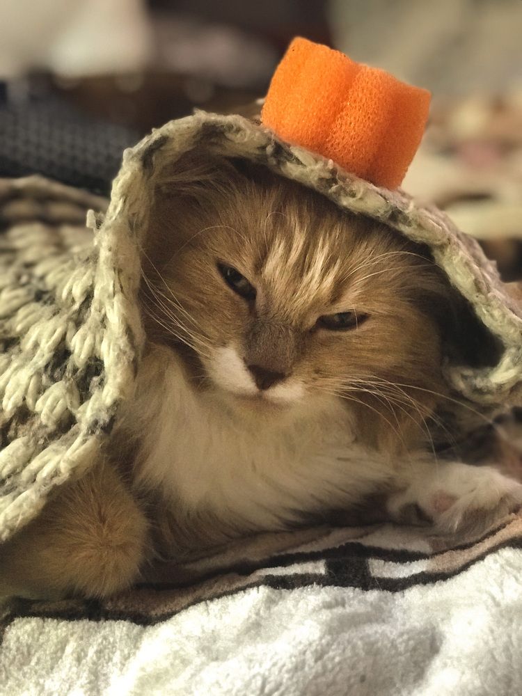 Photograph by Кузнецов Александр