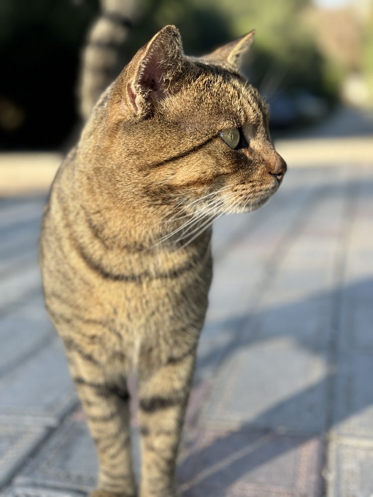 Photograph by Сергей Тишков