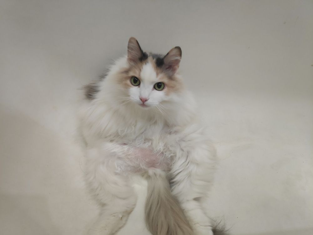 Photograph by Elena Goncharova