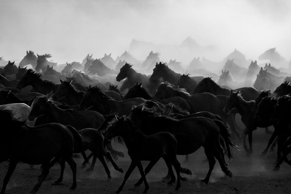 Photograph by Erhan Kalkandelen