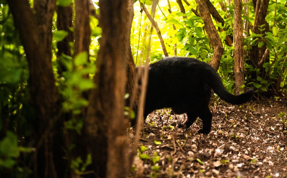 Photograph by Евгений Николаенков