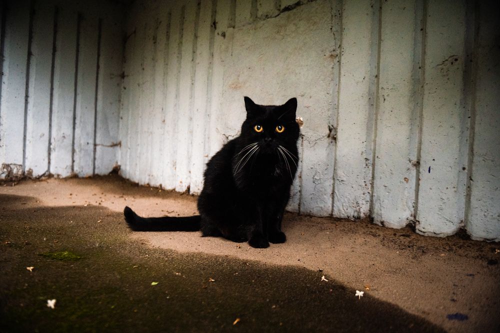 Photograph by Евгений Николаенков