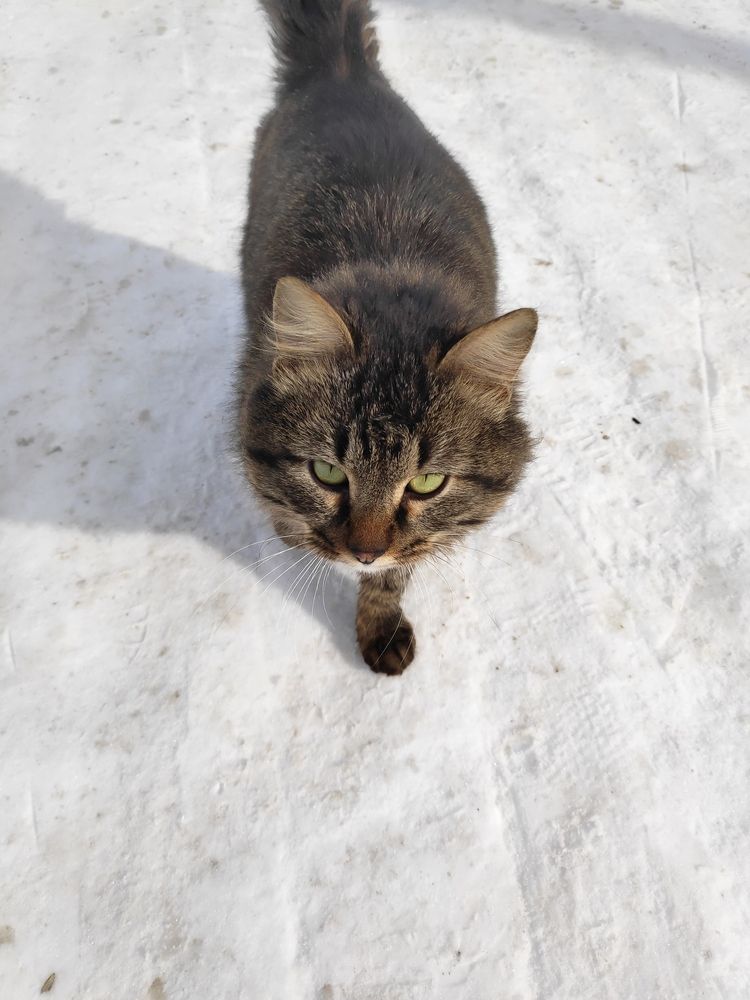 Photograph by Elena Goncharova