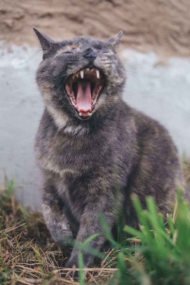 Photograph by Екатерина Бердутина