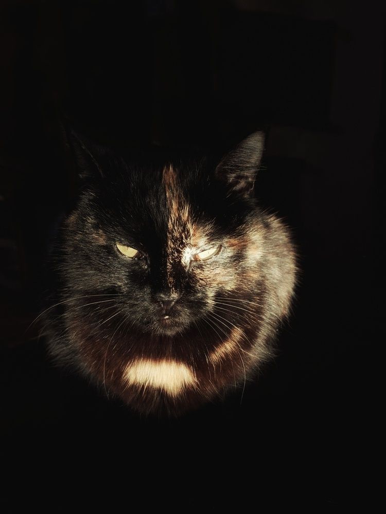 Photograph by Катерина Солдатова