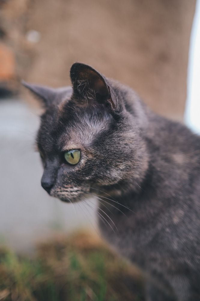 Photograph by Екатерина Бердутина