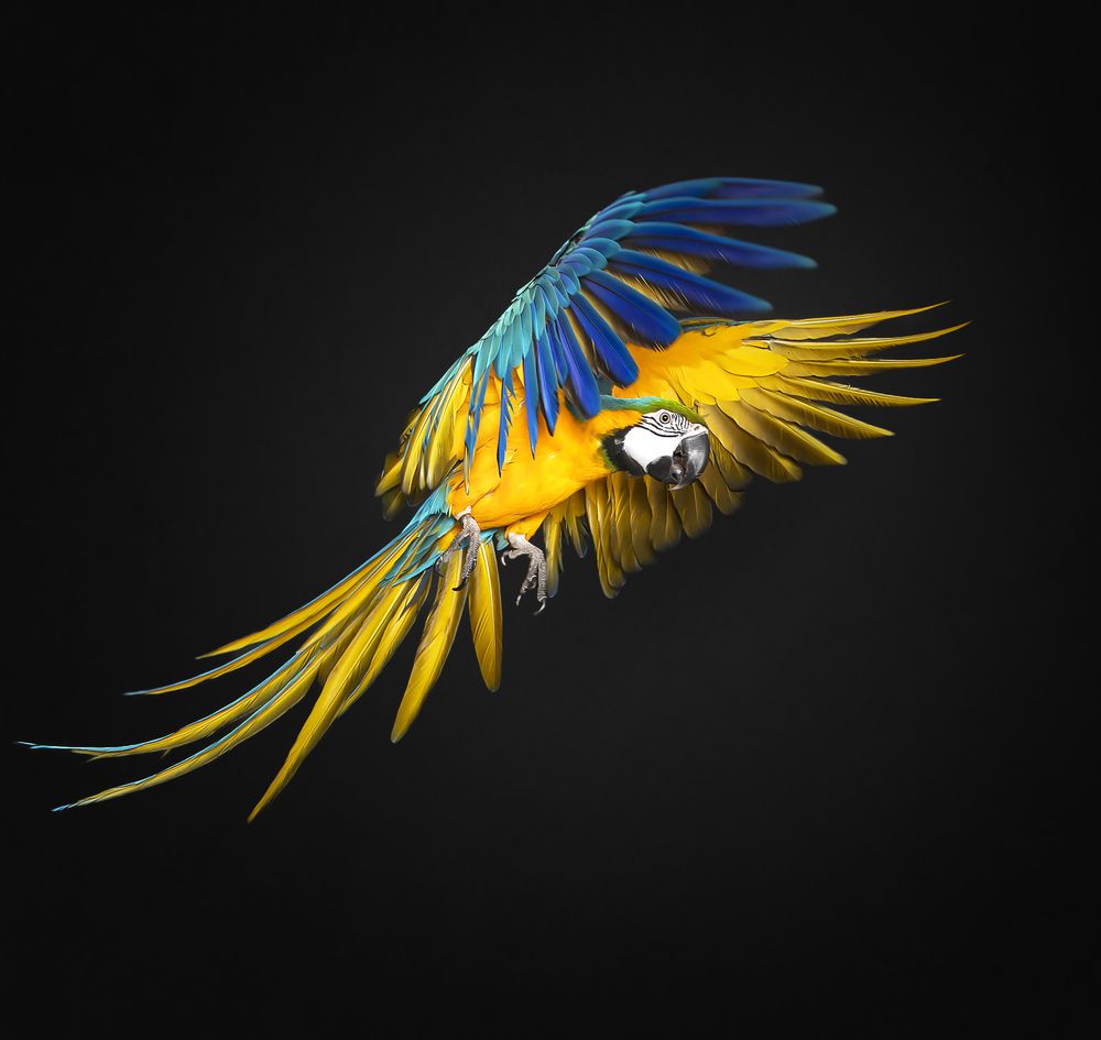 Photograph by Alessandro Grandoni