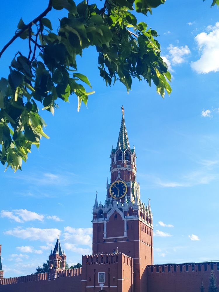 Куранты в мае