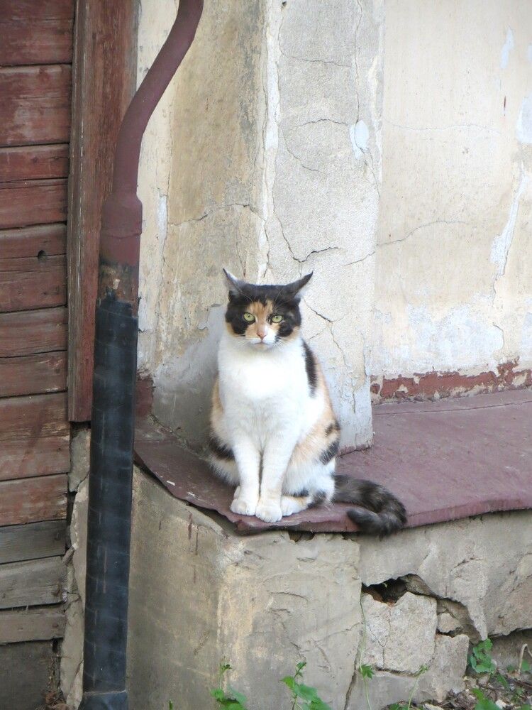 Photograph by Татьяна Поминова