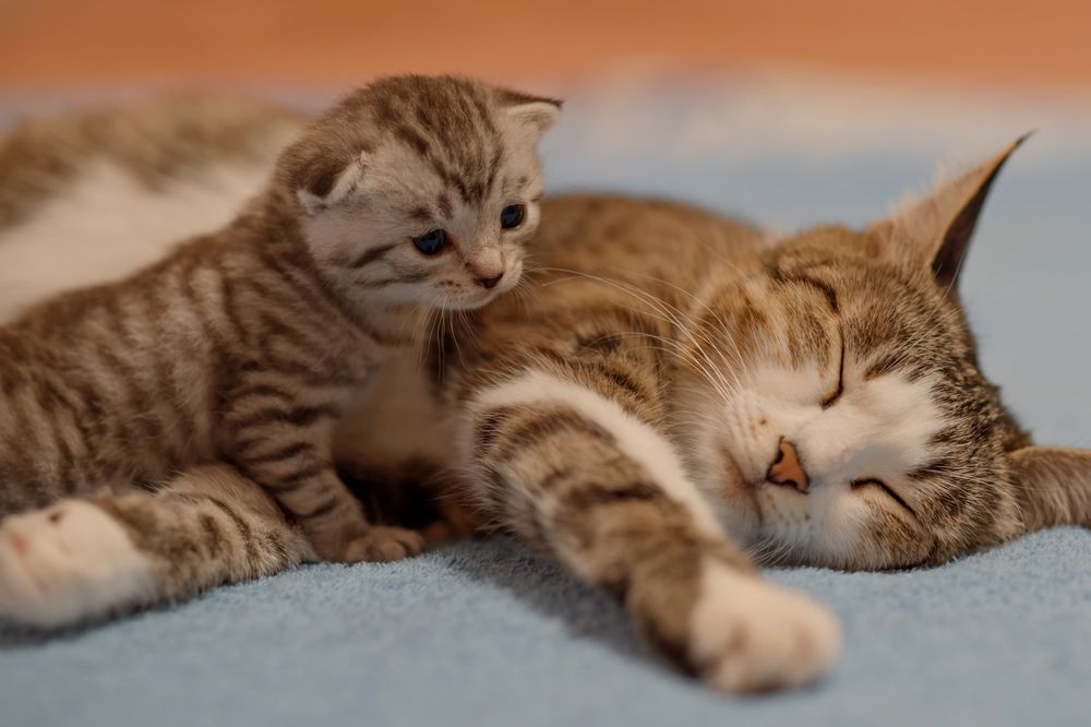 Photograph by Валентина Ермилова