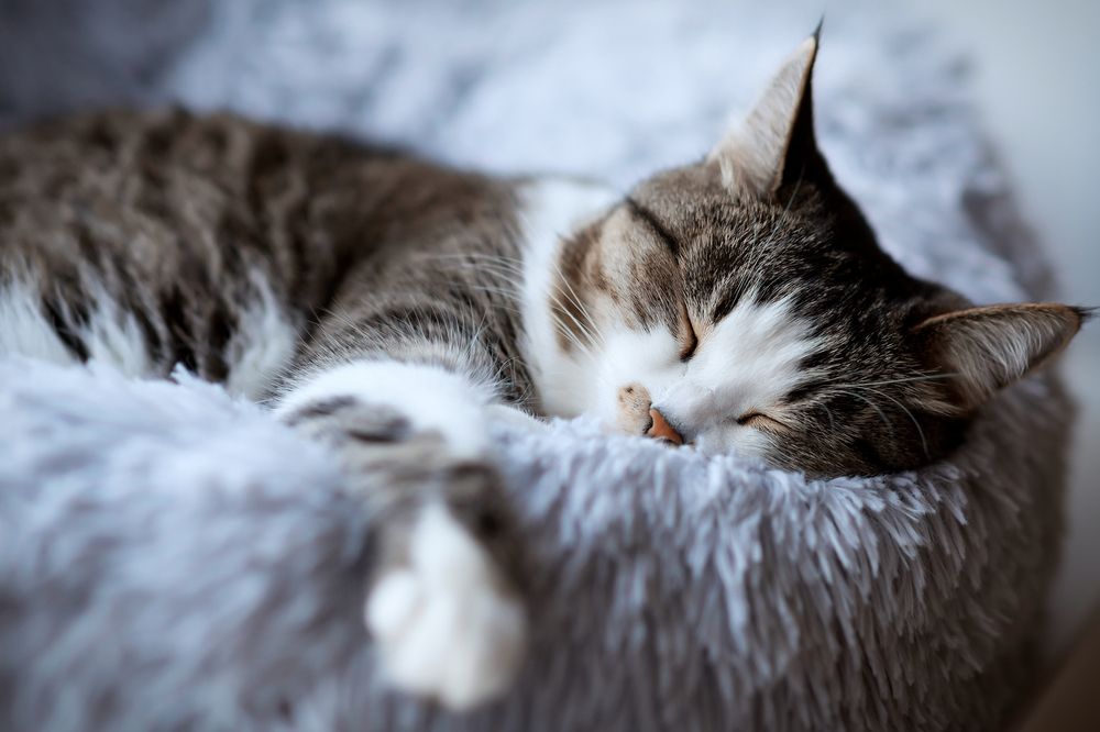 Photograph by Валентина Ермилова