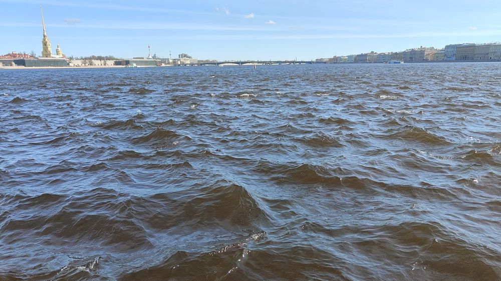 Photo #12235491