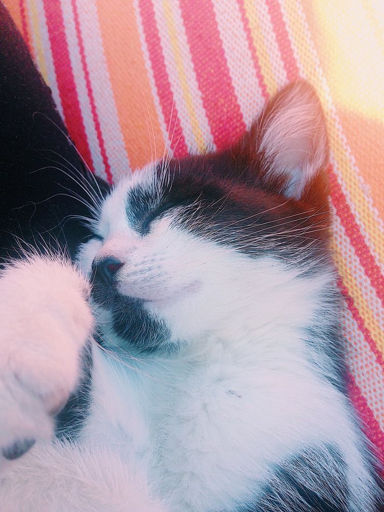 Photograph by Анастасия Козлова