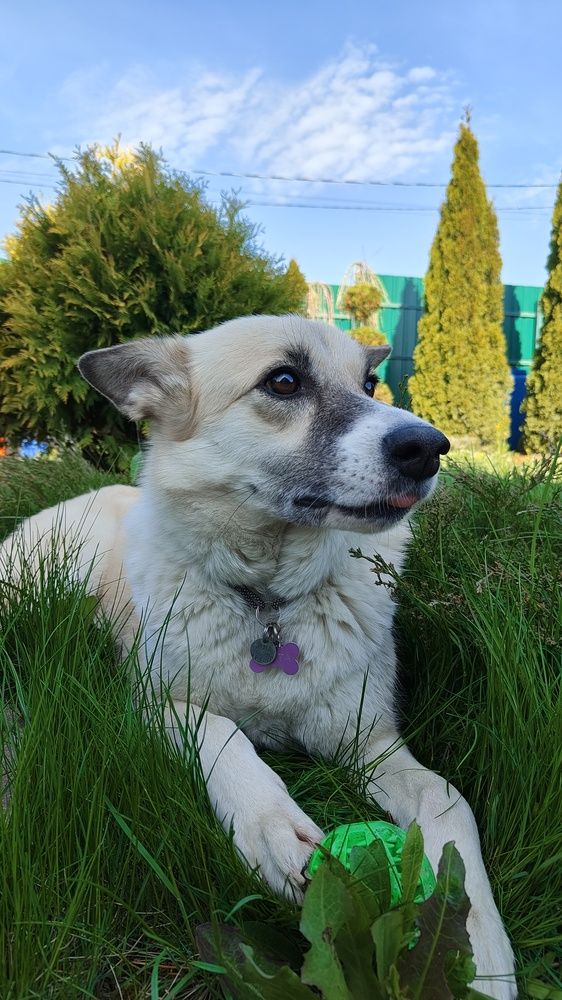 Photo #12235509