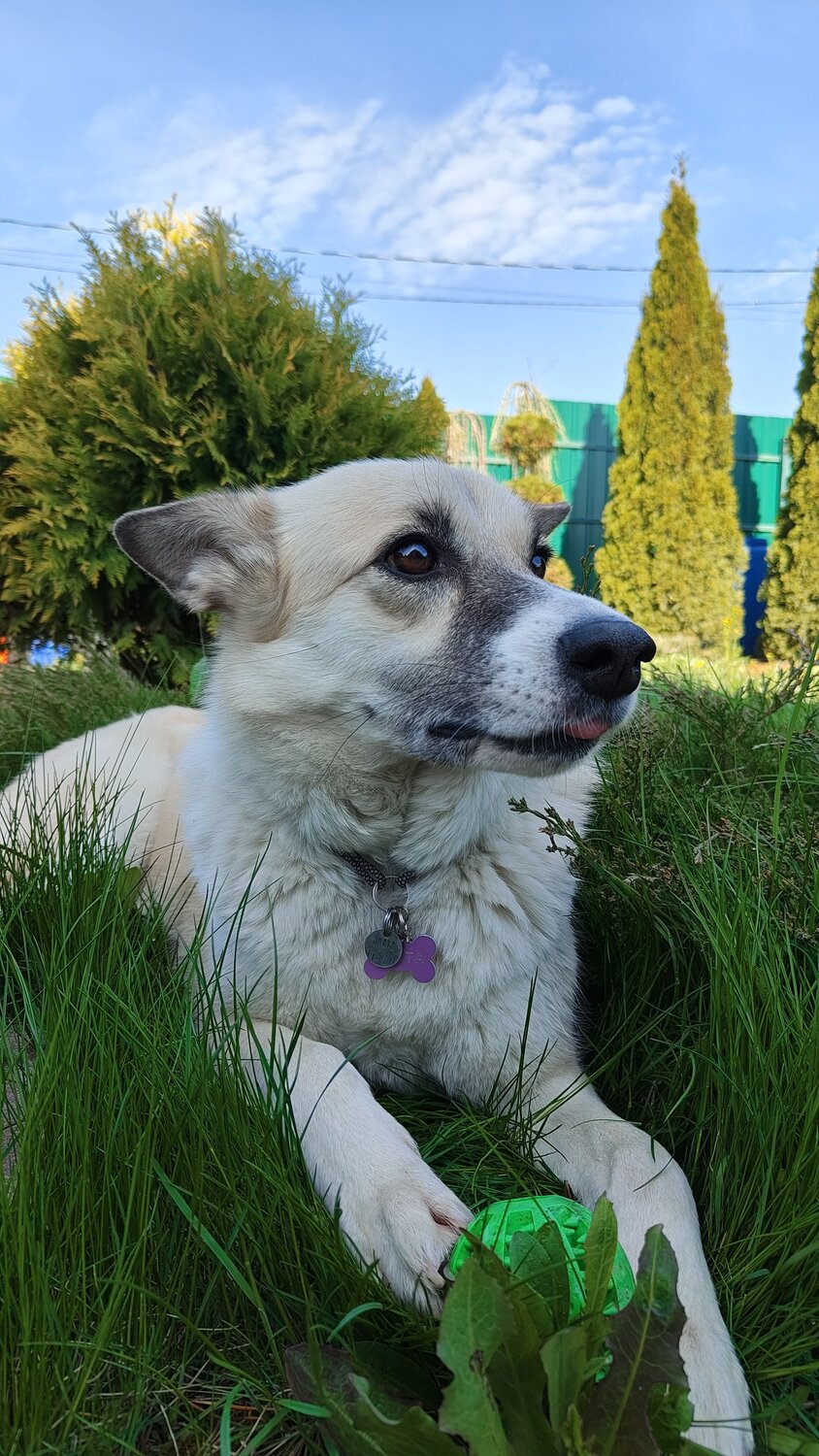 Photo #12235509