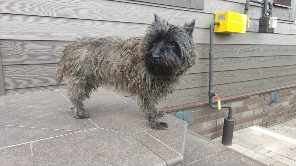 Photo #12235513