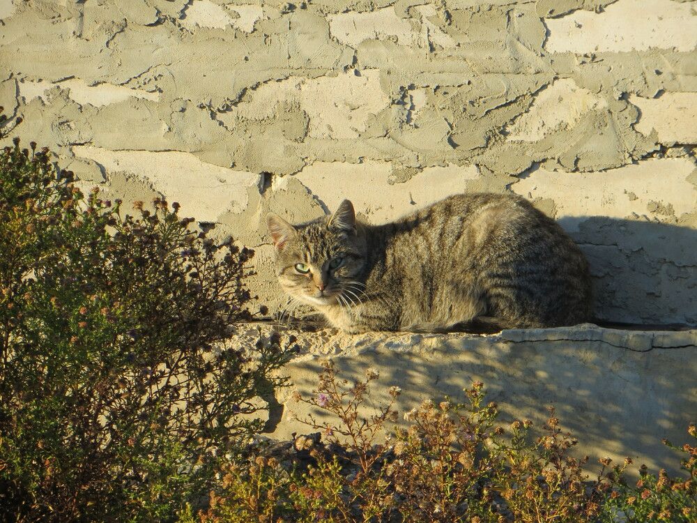 Photograph by Татьяна Поминова