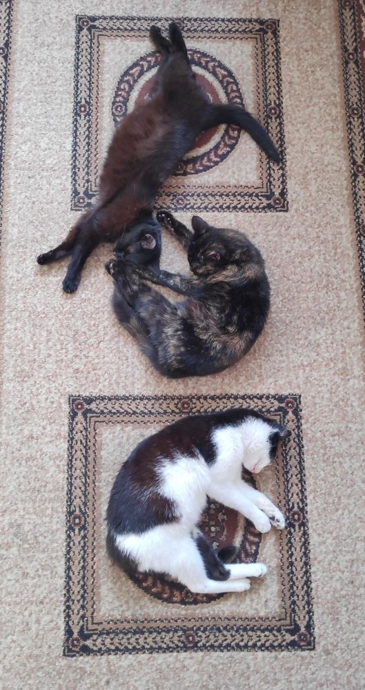 Photograph by Elena Goncharova