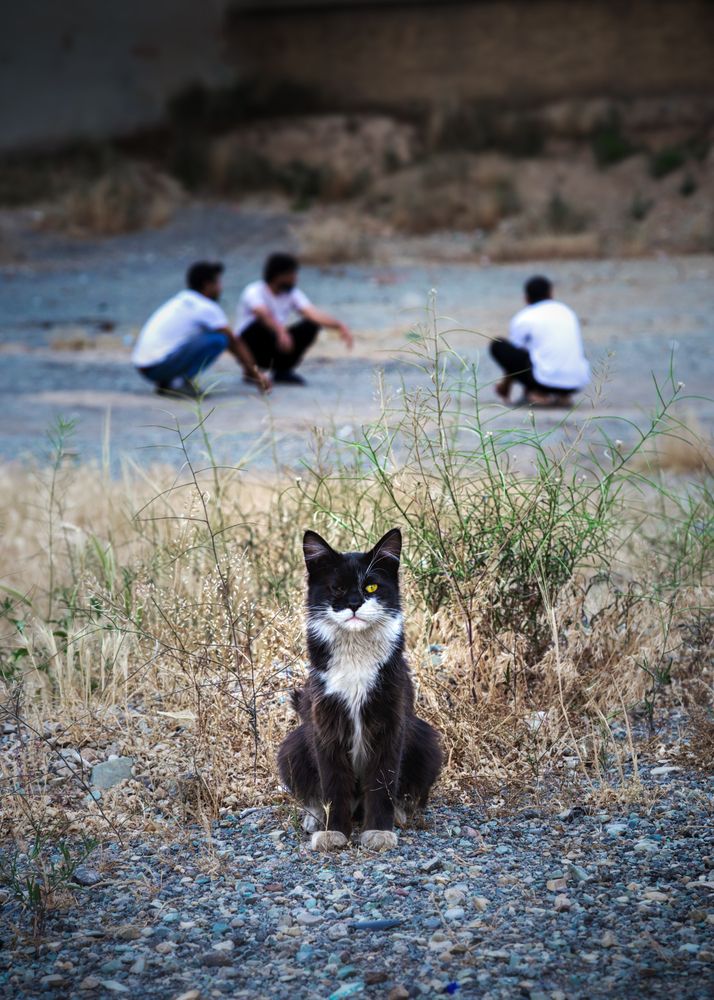 Photograph by Abbas Kalantar