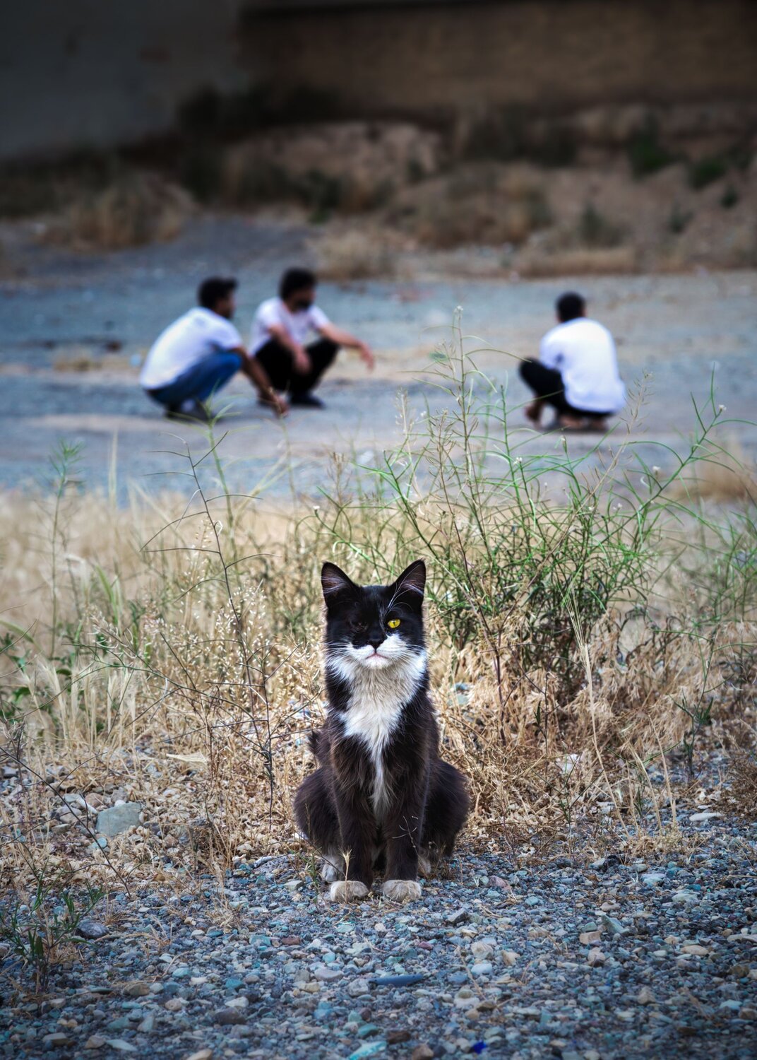 Photo #12235567