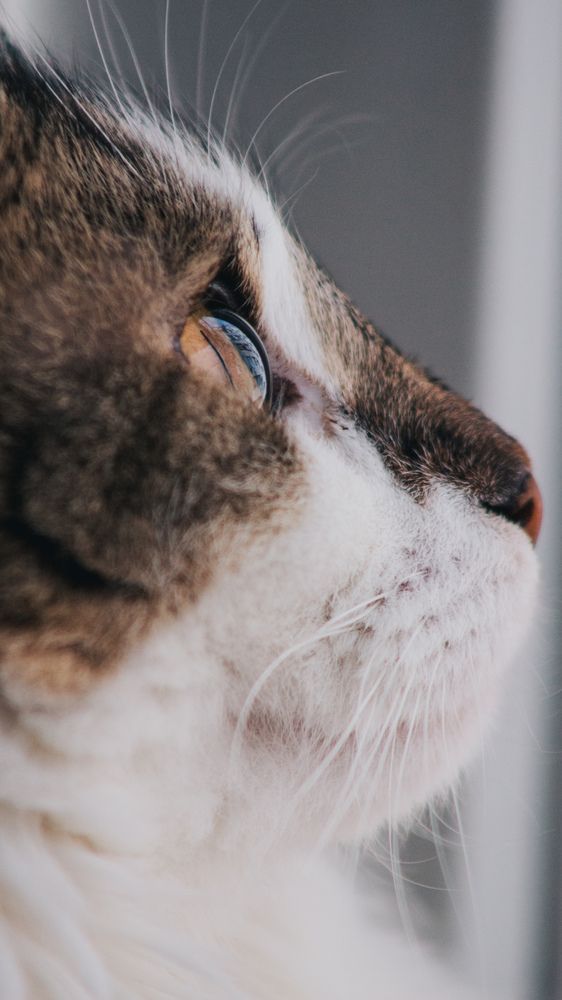 Photograph by Юлия Сысоева