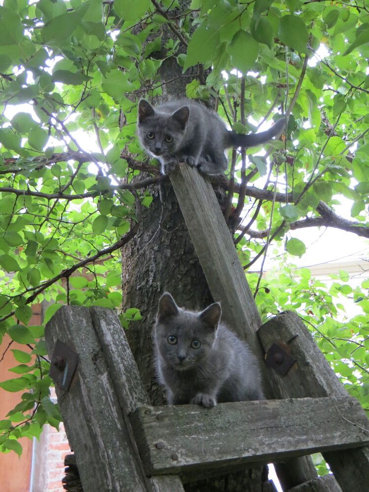 Photograph by Татьяна Поминова