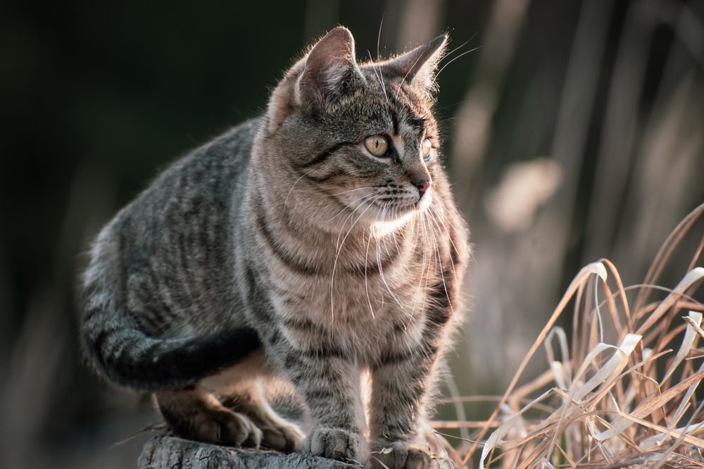 Photograph by Jana Špániková