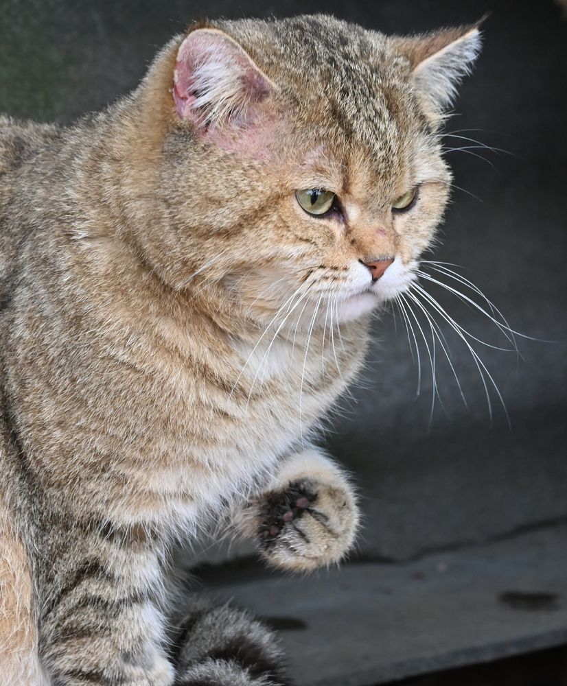 Photograph by Алексей Гордеев