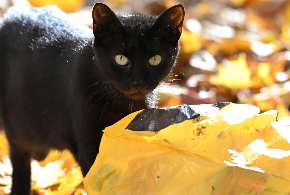 Photograph by Алексей Гордеев