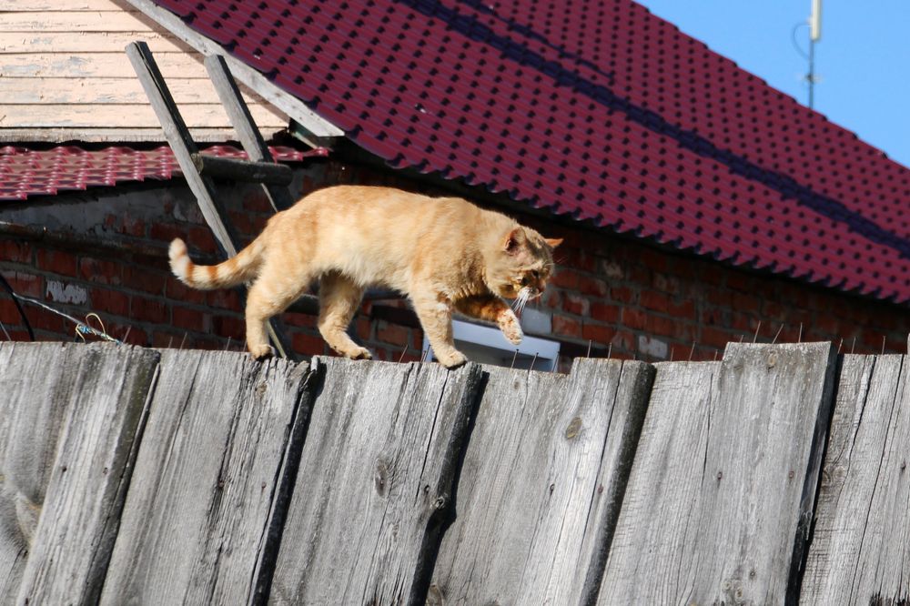 Photograph by Татьяна Иванникова