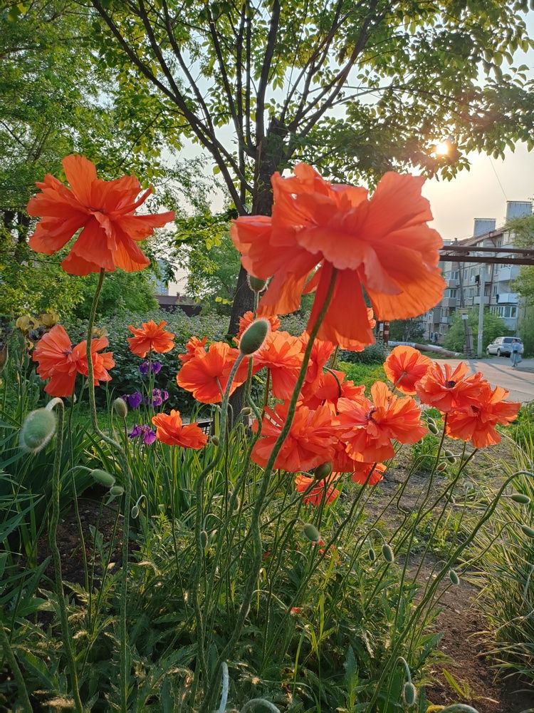 Photograph by Елена Егорова