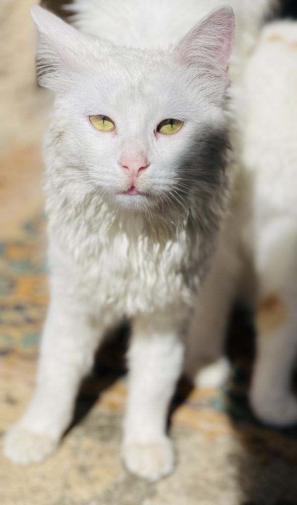 Photograph by Lu Lu