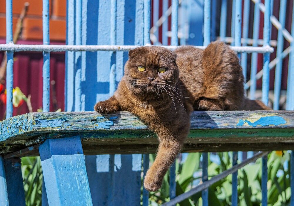 Photograph by Алексей Сиваков