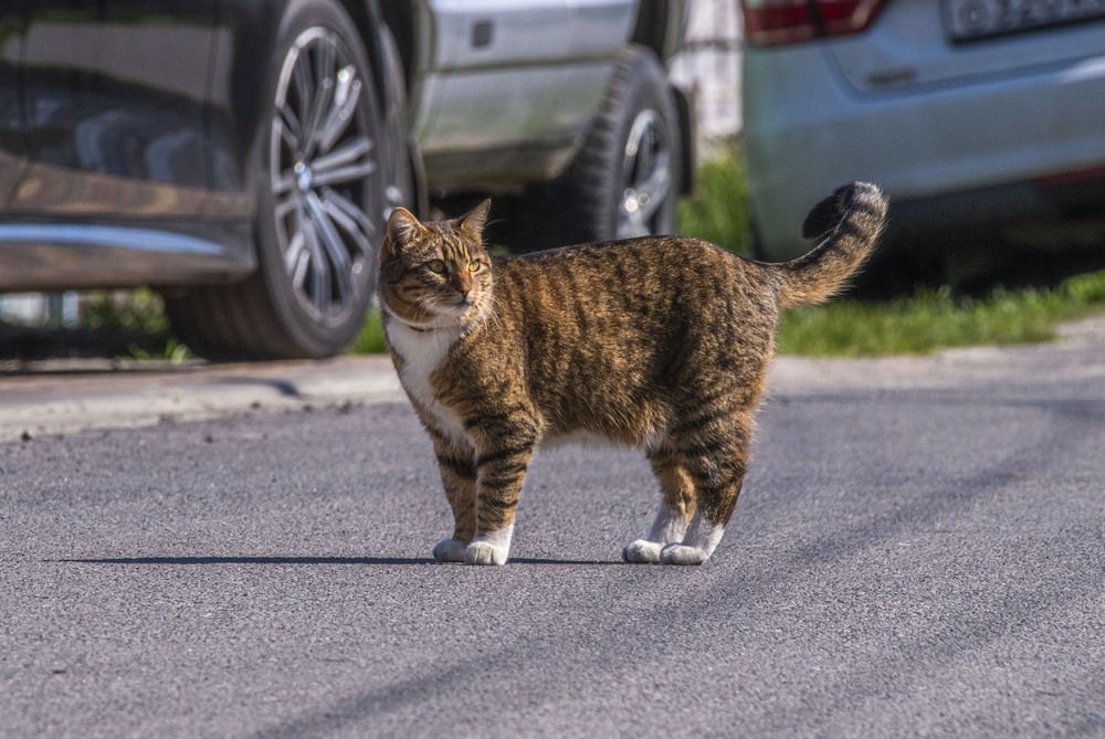 Photograph by Алексей Сиваков