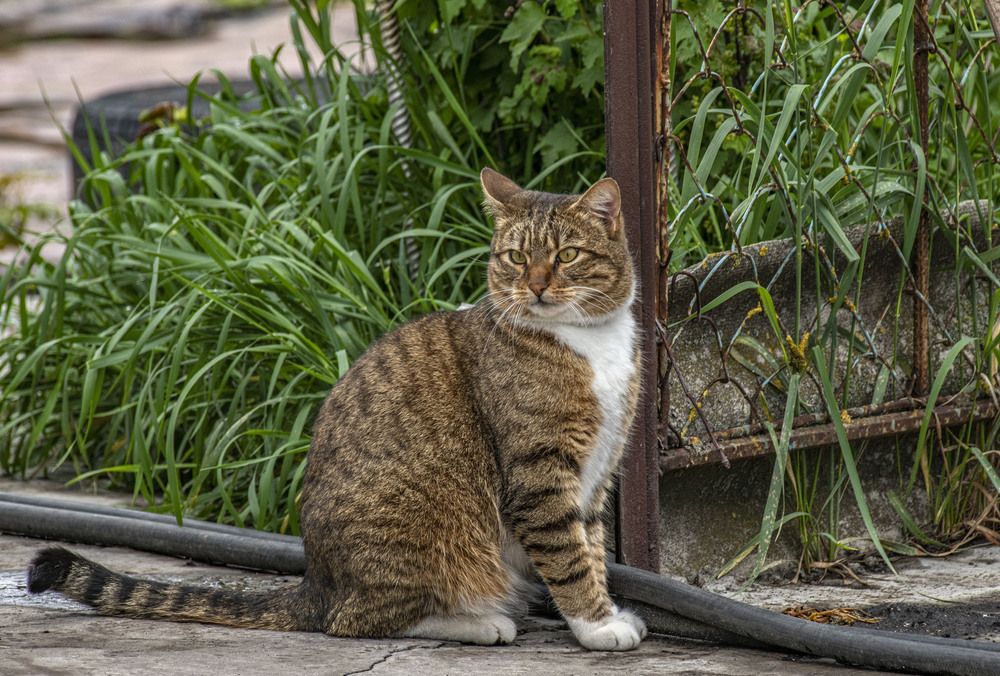 Photograph by Алексей Сиваков