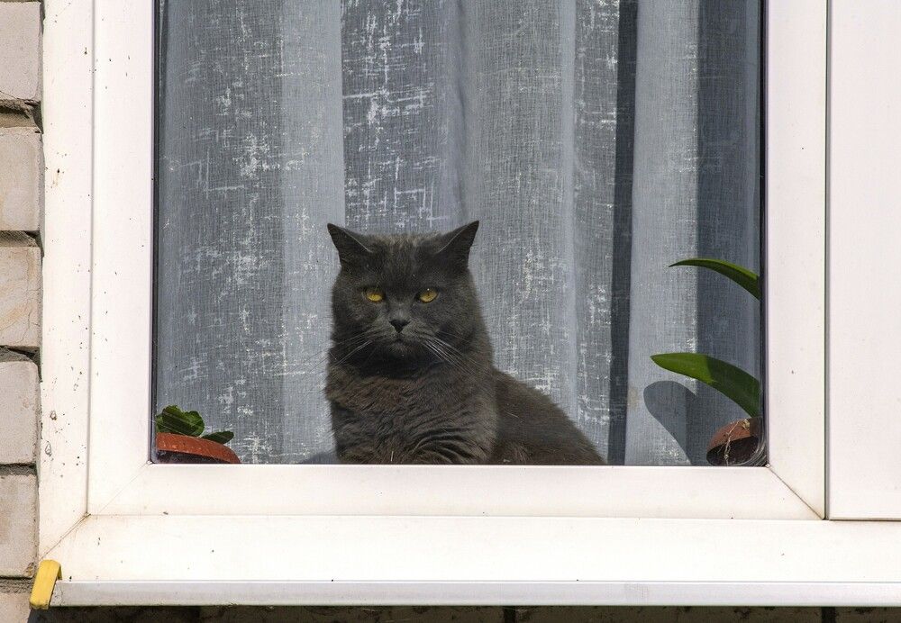 Photograph by Алексей Сиваков