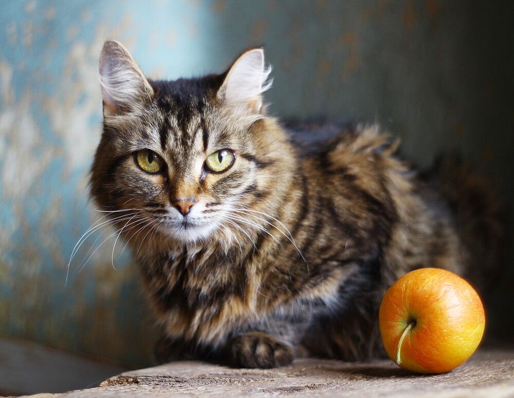 Photograph by Валентина Евсеева