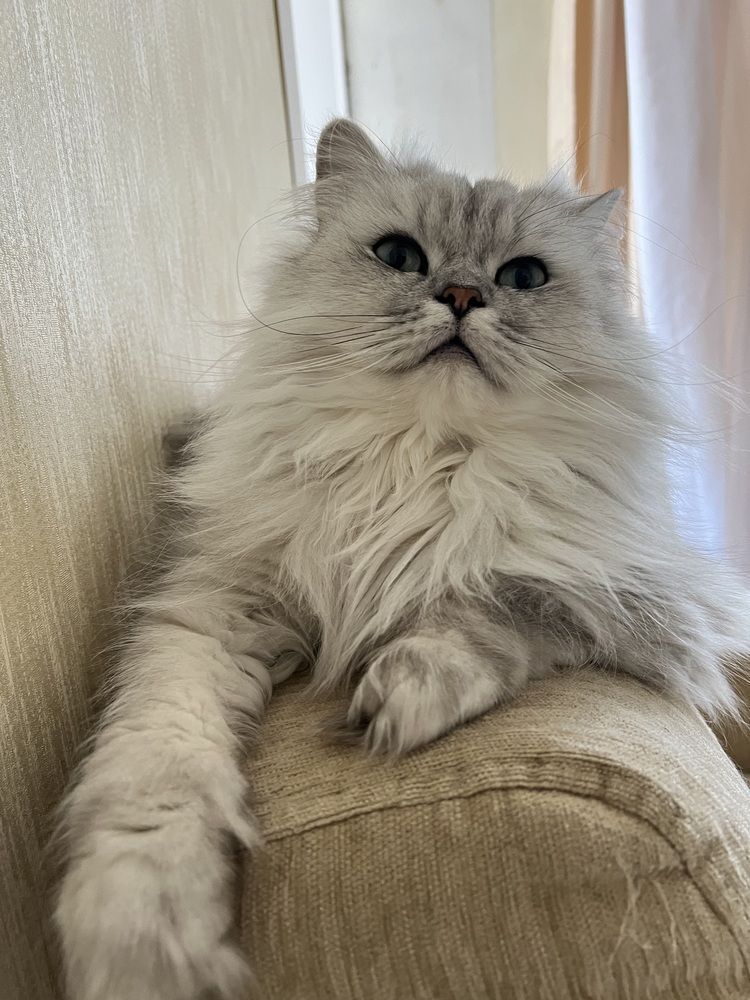 Photograph by Ольга