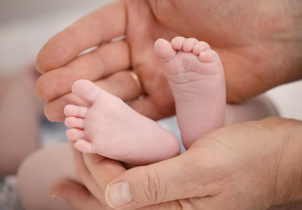 Photograph by Diana K