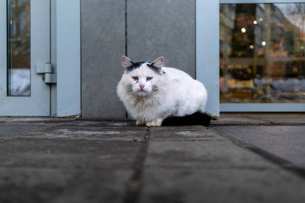 Photograph by Александр Ходакин