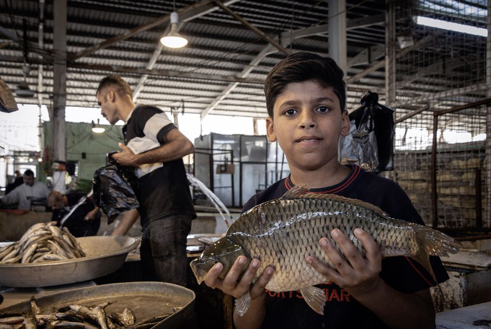 Photograph by Ali Ali Sabih Kadhim